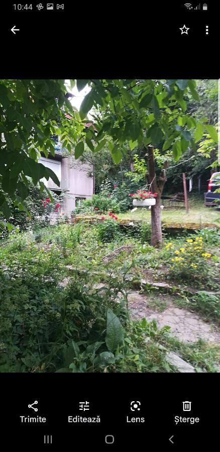 Apartament Simona Διαμέρισμα Μπρασόβ Εξωτερικό φωτογραφία